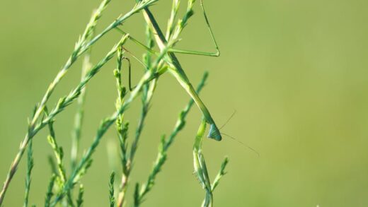 Fotó: pete weiler, Forrás: Pexels